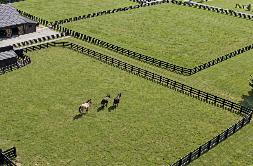 Horse Farms