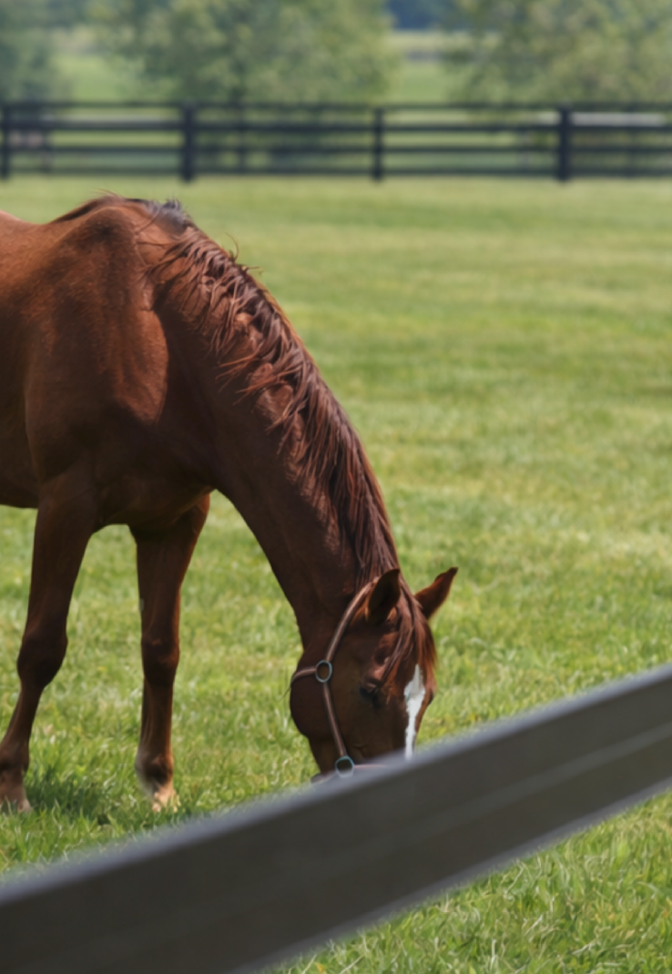 Private Paddocks
